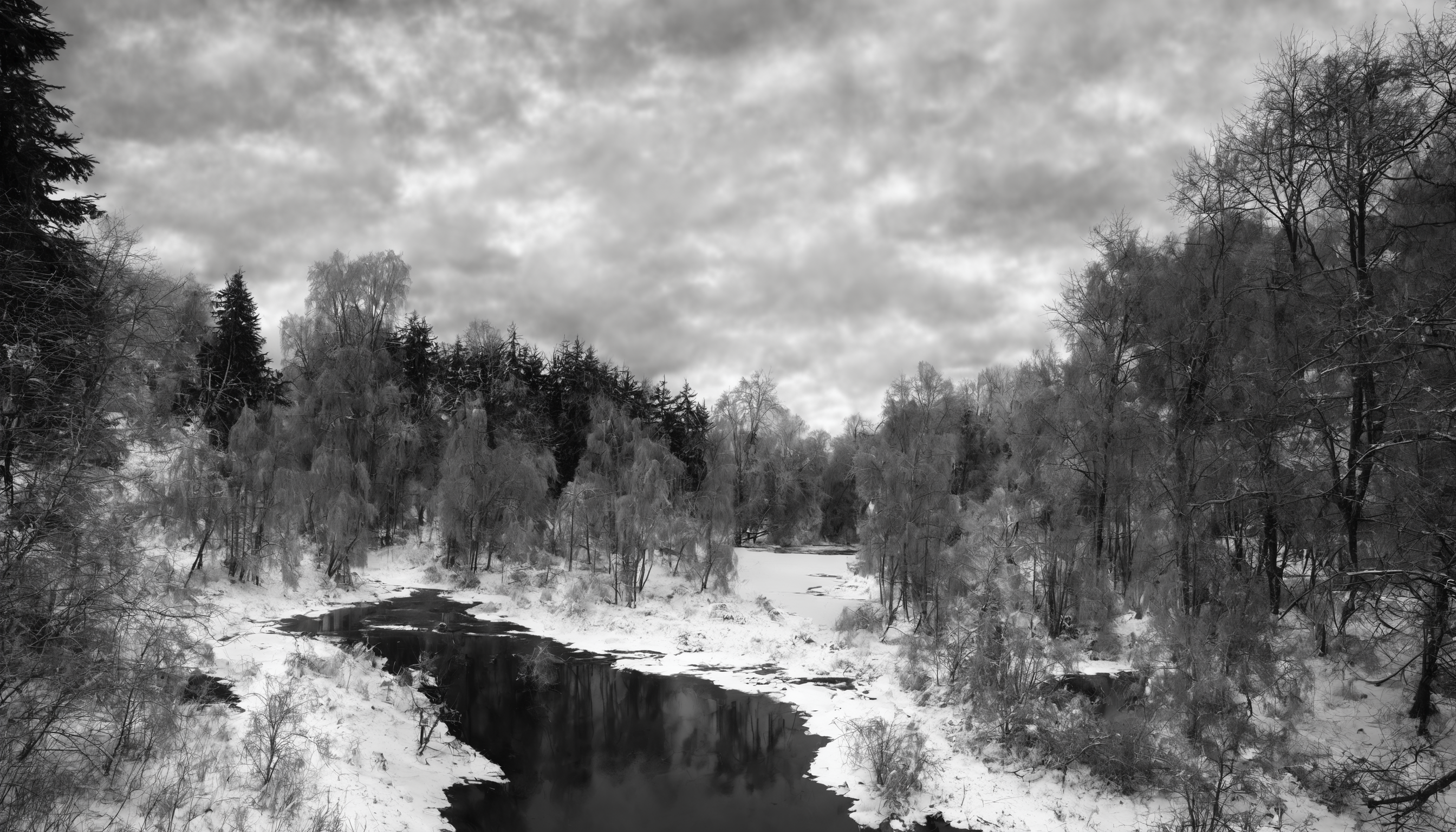 <lora:1:0.5>,Winter forest, no humans, scenery, monochrome, outdoors, greyscale, sky, nature, day, traditional media