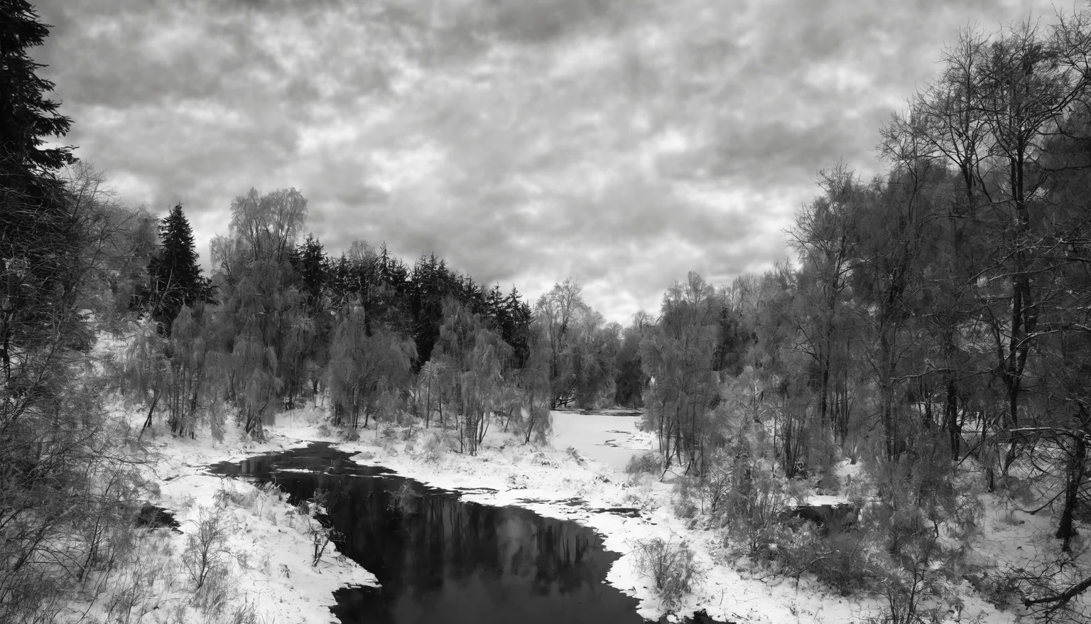 <lora:1:0.5>,Winter forest, no humans, scenery, monochrome, outdoors, greyscale, sky, nature, day, traditional media