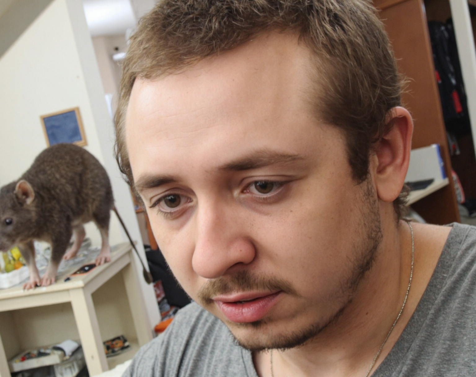 Content
