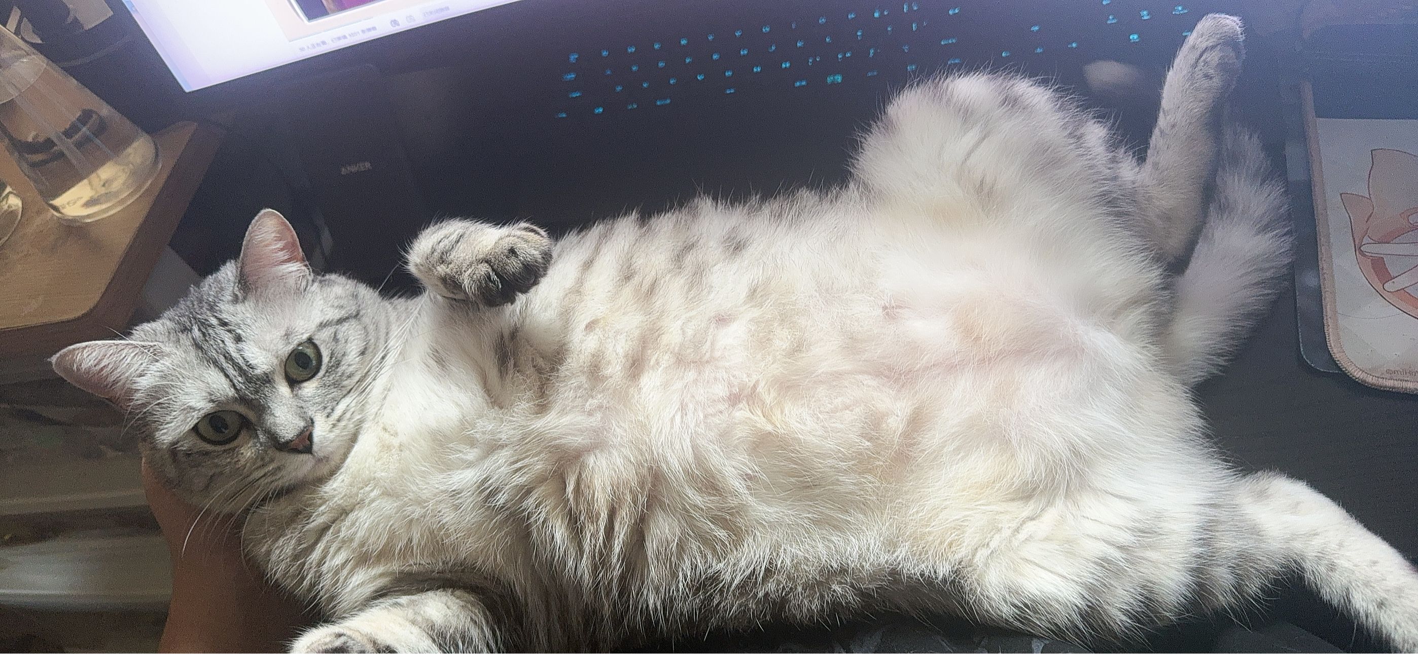 Content