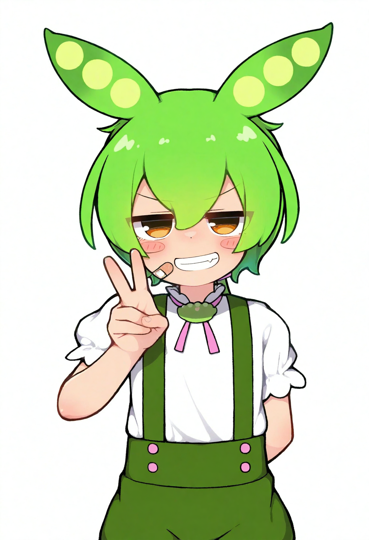 high definition, amazing quality, very aesthetic, best quality, masterpiece, highres, simple background, white background, 
 <lora:53na_style_NoobAI_v1:1> 53na, 1boy, standing, upper body, looking at viewer, solo, zundamon, white shirt, green suspenders, smile, v,