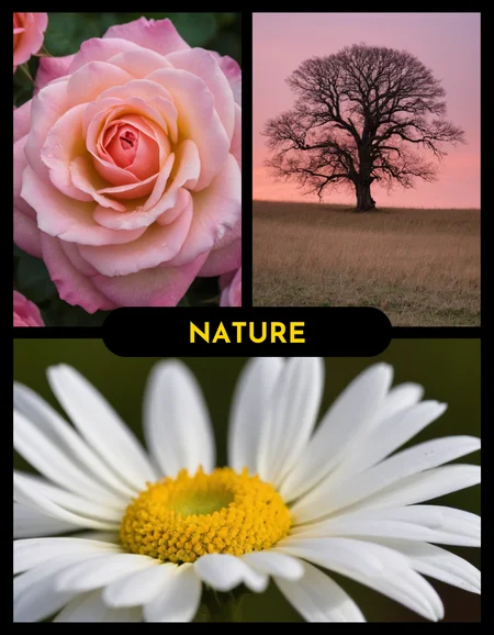 Preview undefined