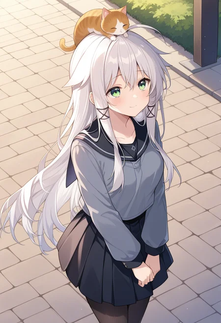 1girl, solo, anceriseshirokami, white hair, long hair, ahoge, hair flaps, sidelocks, hair ornament, green eyes, grey shirt, long sleeves, black sailor collar, black skirt, black pantyhose, school uniform, cat, cat on head, looking up, sad, smile, outdoors, sidewalk, cowboy shot, standing,