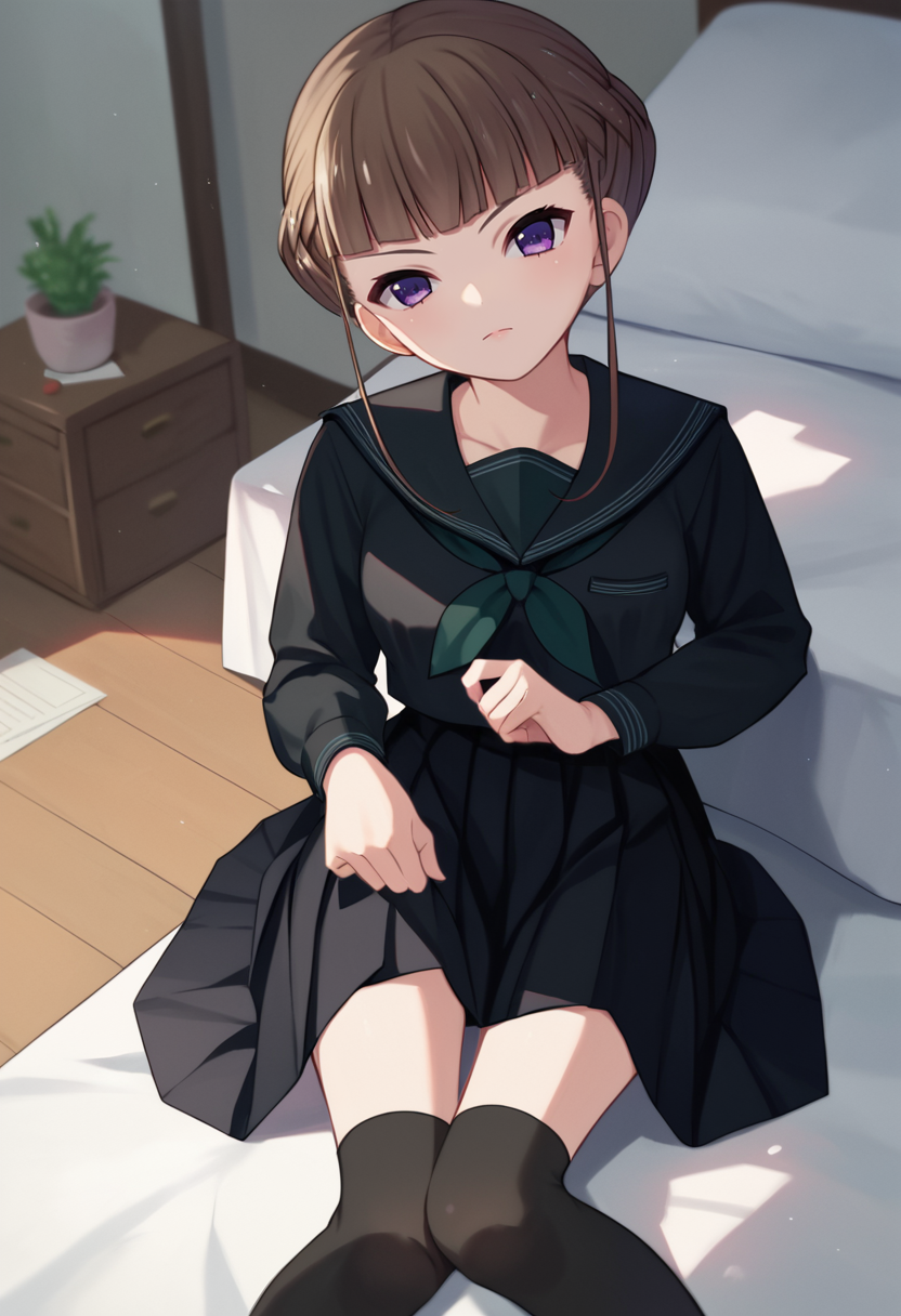 score_9, score_8_up, score_7_up,  Manaka Nemu, braided hair, purple eyes, sidelocks, long sleeves, green necktie, black skirt, black thighhighs, black serafuku, 1girl, solo indoors, looking at viewer, <lora:Nemu Lora 2-000009:1>