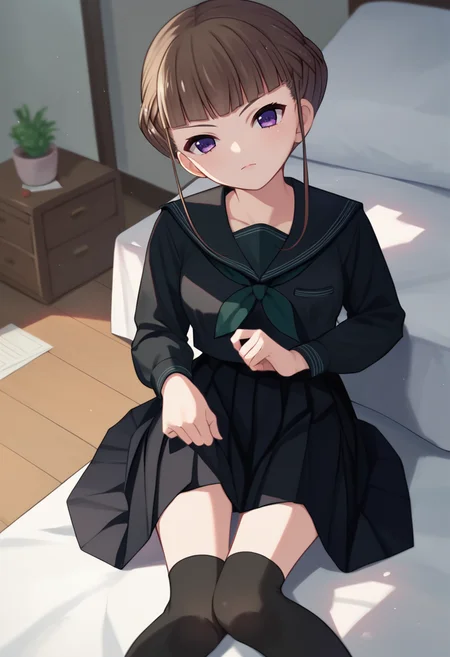 score_9, score_8_up, score_7_up,  Manaka Nemu, braided hair, purple eyes, sidelocks, long sleeves, green necktie, black skirt, black thighhighs, black serafuku, 1girl, solo indoors, looking at viewer, <lora:Nemu Lora 2-000009:1>