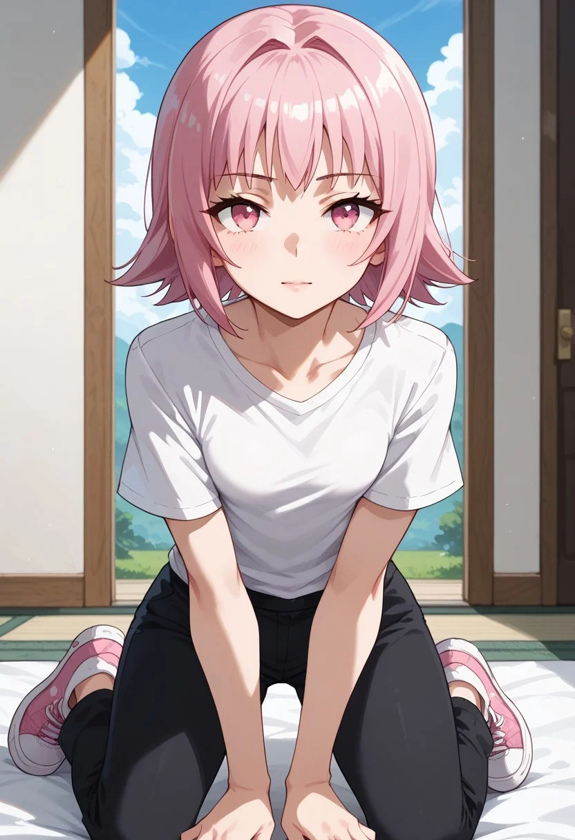 ,score_9, score_8_up, score_7_up, score_6_up, score_5_up,(solo:1.9),1girl, 
BREAK
Tamao Tamamura , pink hair, pink eyes, short hair, (small breasts),white shirt,short sleeves,black pants, pink sneakers,on knees, 
BREAK
Prades blue sky