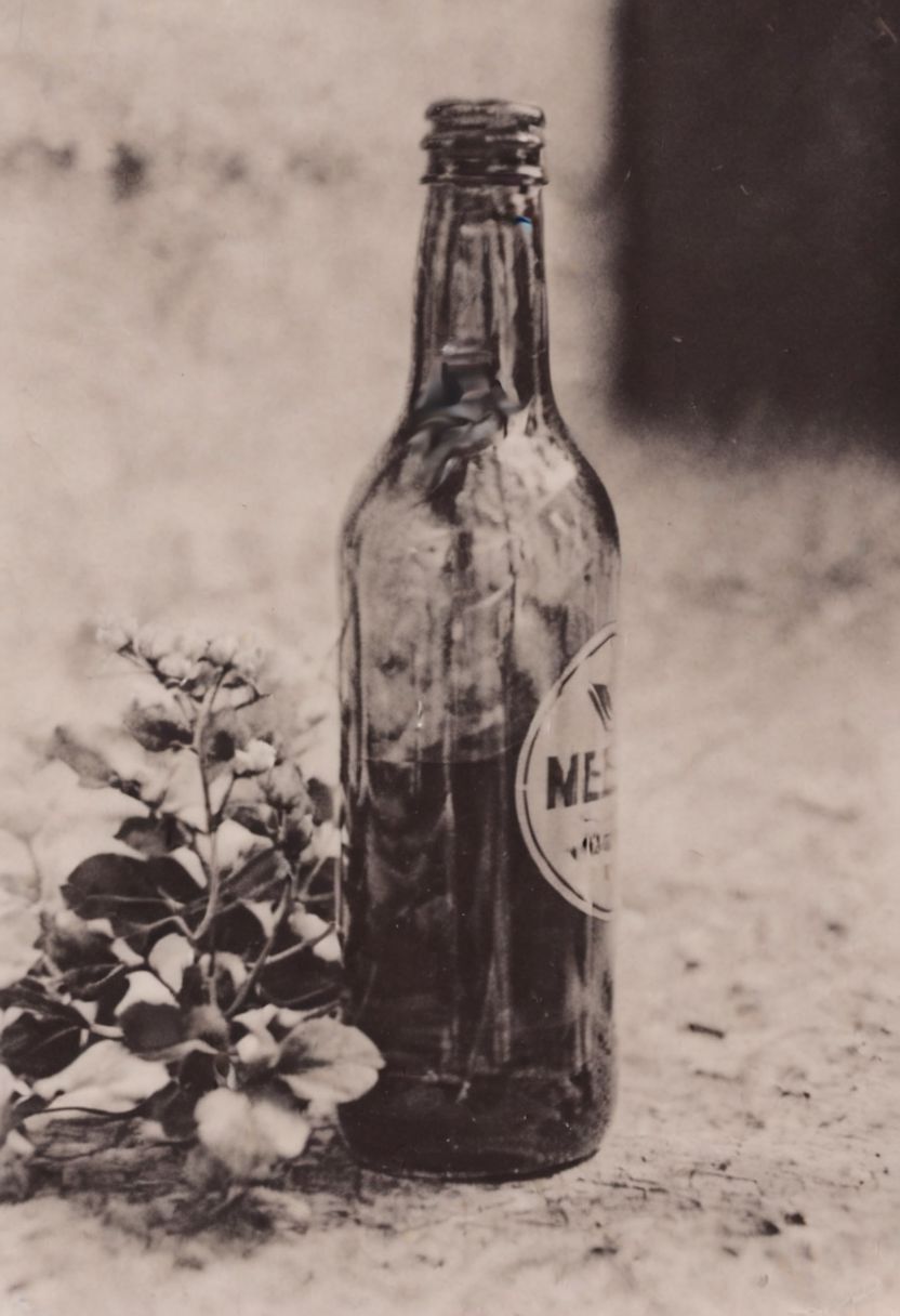 AgfaBroviraSpeedBS310RC2, instagram photo,a bottle with a flower, hard shadows, film grain