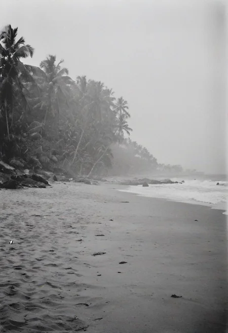 KB_Kentmere400, instagram photo, a foggy beacht in sri lanka, soft shadows, film grain