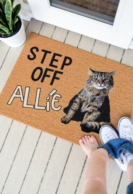 <lora:Welcome_Mat_Manufacturer_FLUX-000023:0.9> <lora:Allie_-_My_Cat_FLUX:1>
The image is a photograph of a small outdoor entrance area, featuring a doormat with a humorous design. The doormat is rectangular and made of a textured, brown, coir material. It has a vibrant, whimsical design featuring the text "Step Off" and a fluffy, medium-sized cat named Allie with a mottled coat featuring dark brown and black tabby stripes