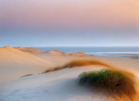 <lyco:sand and sea:1.0> srdg  fog  in a  sandy beach with a few bushes and sand dunes, sunset