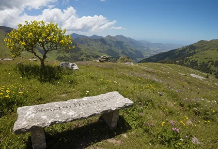 (no human:1.18), scenic alpine landscape, flowering juicy mountain meadow at springtime, Ethiopian Highlands, Abyssinian Highlands, (butterflies:0.42), group of  birch trees, (Stone bench) Weathered, worn, nestled among wildflowers, for a lonely rest,  
(Mountain wildflowers: Purple saxifrage (Saxifraga oppositifolia),Mountain avens (Geum montanum) 
(sun breaking through clouds above:1.18)
(Sunny mid-afternoon, harsh, direct sunlight, strong shadows, warm, golden tones), (epic:0.99, (masterpiece:0.78), (RAW:0.96),(high resolution photograph:1.28),high definition,  <lora:sdxl\pony-realism-22-nsfw-photo.safetensors:0.85:0.18>  p4,s12
