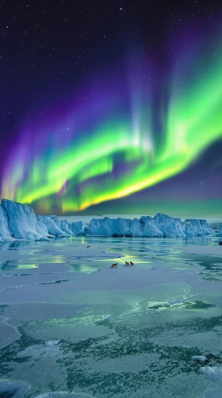 A breathtaking shot on the polar glacier: Panoramic view of the azure icebergs reflecting the vibrant aurora borealis, casting an ethereal glow across the vast snowy expanse. In the distance, wispy trails of green and purple lights dance in the night sky, as a few Arctic foxes stroll leisurely, their fur blending seamlessly with the icy landscape.