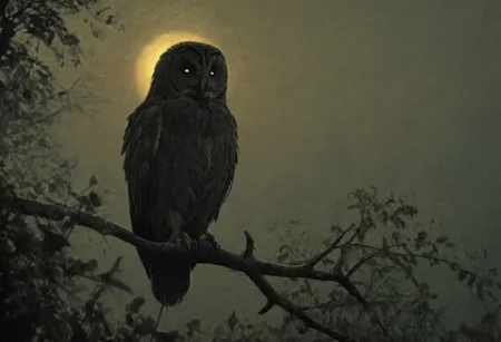 silhouette style, cinematic film still of the silhouette of an owl sitting on a branch at night, very detailed, haze lighting, backlit, 4k uhd masterpiece , style by Greg Rutkowski, by Milo Manara and Russ Mills, with insanely intricate details and textures, gloomy dramatic lighting, , dark, chiaroscuro, low-key,in the style of Kelly Slater ,style by Kelly Slater,closeup,digital artwork by Beksinski, style of Kelly Slate