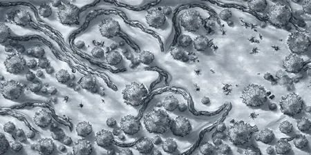 battlemap outdoor winter forest