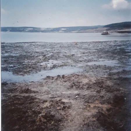 analogstyle, a landscape,
<lora:Analog_Photo_Style_2:1>