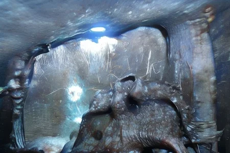 a mystical abstract organism that create a medieval knight armor in a dark and strange cave,dark, horror, obscure, mystic, mystical, splatter, organic, realistic, real, hyper realism