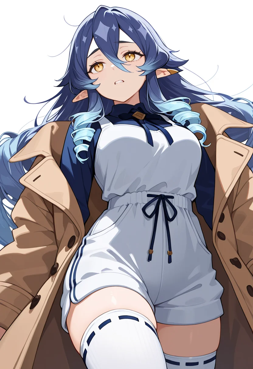 masterpiece,high quality details, absurdres,
<lora:Layla:0.8>
layla_cnr, 1girl, blue hair,very long hair,drill locks, pointy ears, yellow eyes, hair between eyes, sidelocks,medium breasts,, simple background, white background, dynamic angle,solo,, depressed,clenched teeth,, duffle coat ,pinafore top ,sweatpants, ,ribbon-trimmed thighhighs,