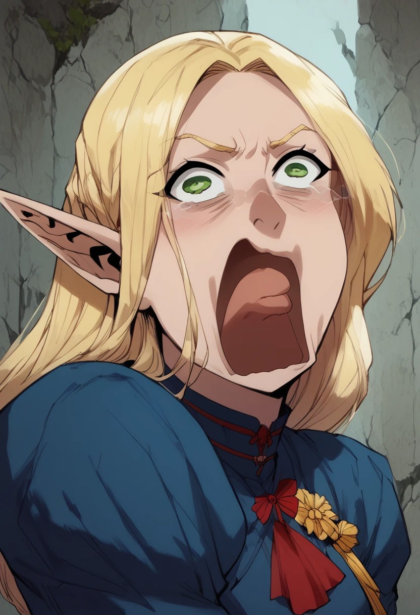 score_9, score_8_up, score_7_up, BREAK, 1girl portrait, beautiful,  dramatic lights  ((Elf, Marcile, Marcile Dunegon Meshi, Marcille Donato, blue robe, blonde hair, green eyes, long blonde hair, long hair, young, young woman, screaming, Aqua Screaming | Meme, Aqua screm, Aqua Screaming, face focus)) <lora:Fant5yP0ny:0.6> <lora:fantasy_world_pony:0.9> <lora:Cherry-Gig:0.55>