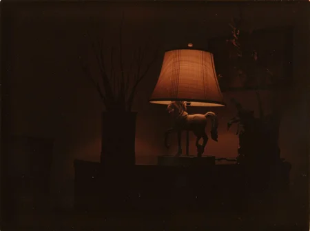p0l2rd, Dark, blurry, and overexposed image, interior setting, table lamp with a beige and brown plaid lampshade, Pony figurine on top, dark vase with tall dried plants, dark framed picture, dark furniture, a table, daytime but with very dim, reddish-toned room lighting, unclear and obscured details due to photo quality