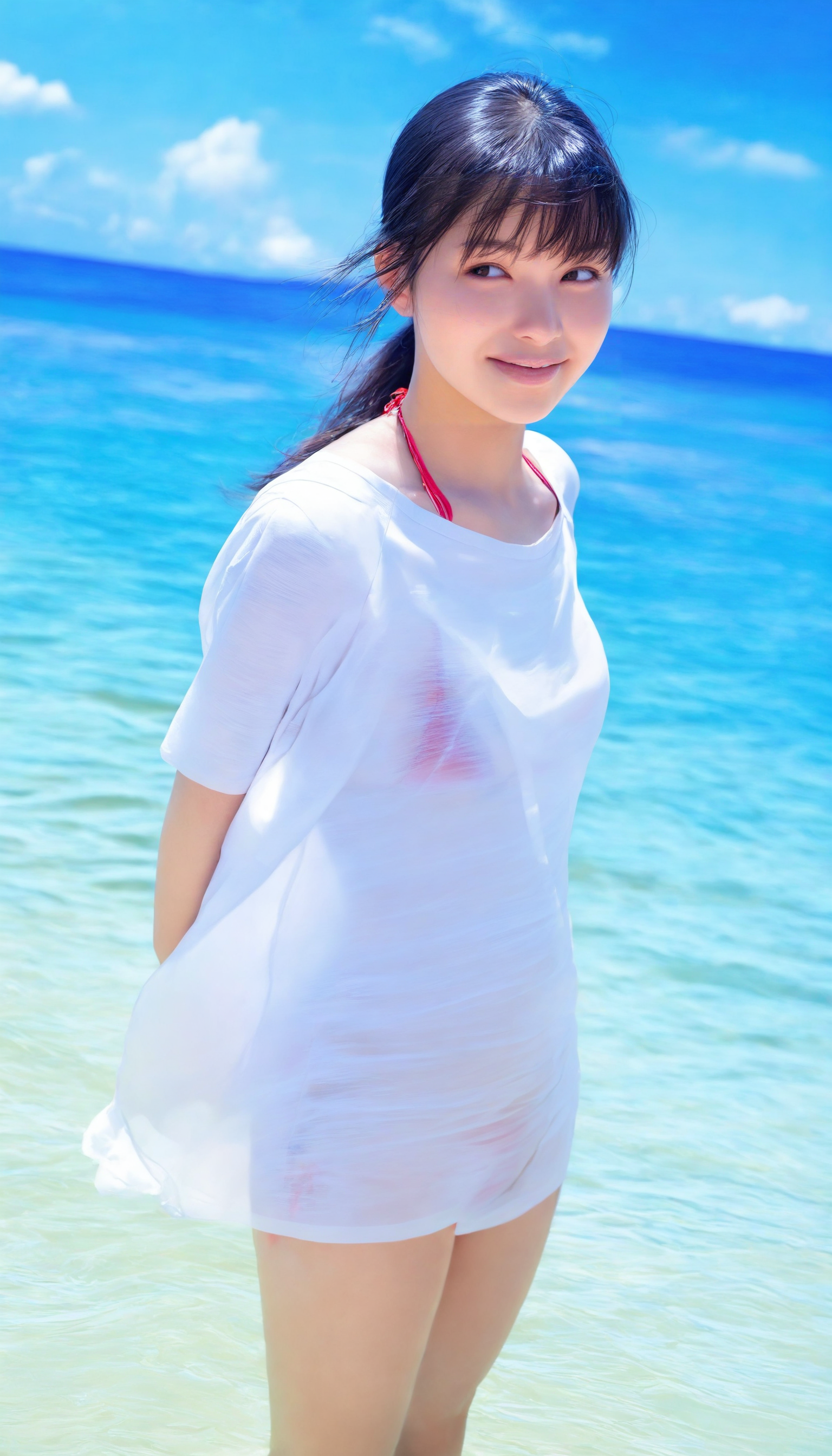 masterpiece,best quality,amazing quality,realistic,photograph,photorealistic,
1girl,solo,
black hair,bangs,low ponytail,
brown eyes,
semi-transparent t-shirt dress,
light red bikini is visible through the shirt,
standing,flowing hair,
looking away,smile,
in water,from above,
outdoors,sea,blue sky,cloud,clear water,
depth of field,