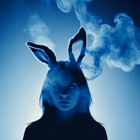 <lora:add-detail-xl:1>
<lora:detailed:0.3>
<lora:perfection style:0.3>
<lora:xl_more_art-full_v1:0.3>
<lora:Donnie Darko film style:1>
a blue smoke photograph of a bunny head,1girl,solo,long hair,monochrome,gradient,gradient background,blue theme , cinematic, film, Donnie Darko film style