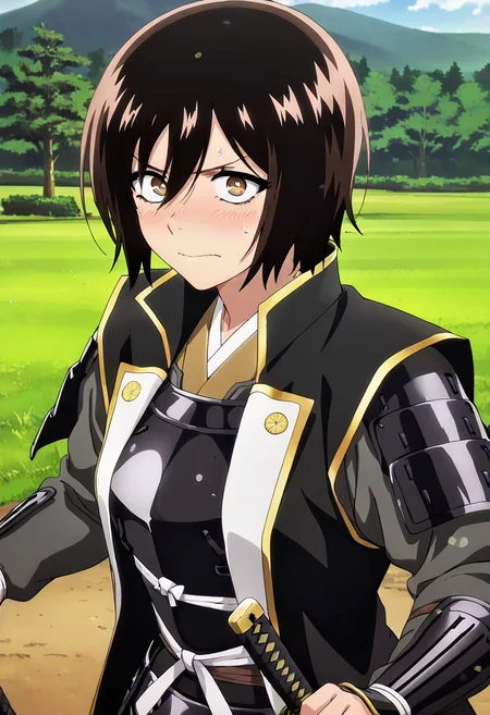 masterpiece, best quality, absurdres, detailed skin, detailed eyes, anime colored, anime screencap,
<lora:Kohakobe_Midori:0.8>, Kohakobe Midori, 1 girl, dark hair, hair between eyes, brown eyes, embarrassed, sweatdrop, looking at viewer,
<lora:jinbaori:1>, jinbaori, armor, shoulder armor, katana,
outdoors,