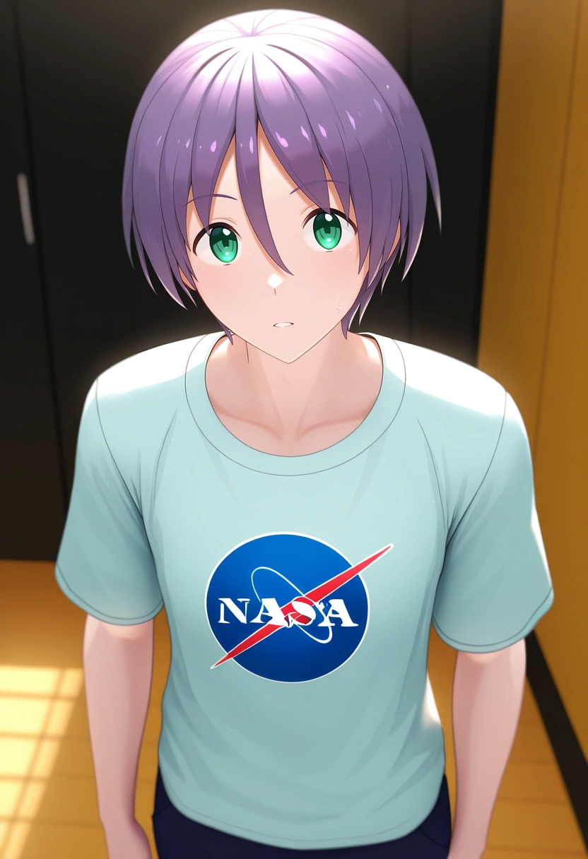 masterpiece, best quality, , (3d:0.4),, 1boy, solo, male focus, <lora:nasa_yuzaki_ilxl:0.9>, nasa_yuzaki, purple hair, green eyes, short hair, hair between eyes, ,