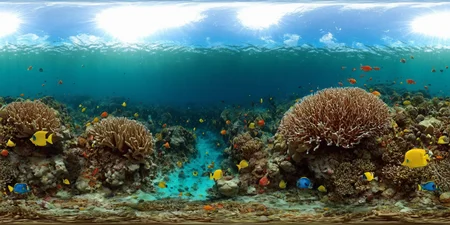 360panorama,<lora:HMSG360æµ·åºä¸çXL-000005:1>,<lora:å
å½±XL:1>,Underwater world,Swimming fish,Coral reef exploration,Deep sea,Sunlight filtering through water,No specific artist,Photo-realistic,Fantasy,Digital painting,Nature scene,Vibrant marine colors,High-definition rendering,4K,High detail,