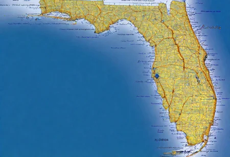 (florida Map), Painstaking Attention To Details