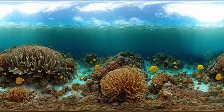 360panorama,<lora:HMSG360æµ·åºä¸çXL-000005:1>,<lora:å
å½±XL:1>,Underwater world,Swimming fish,Coral reef exploration,Deep sea,Sunlight filtering through water,No specific artist,Photo-realistic,Fantasy,Digital painting,Nature scene,Vibrant marine colors,High-definition rendering,4K,High detail,
