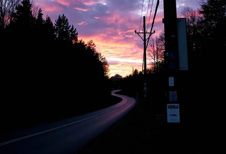 Sunset over a winding road, silhouetted trees lining both sides of the path, creating a natural tunnel effect. The sky is a dramatic mix of pink, orange, and dark blue hues, clouds partially obscuring the vibrant colors. The road curves gently to the left, its surface slightly reflective, suggesting recent rainfall. A wooden utility pole stands on the right with various signs and notices affixed to it, adding an element of rural roadside character. The image is underexposed, capturing the rich contrast between the vivid sky and the darkened landscape, wide angle lens.,