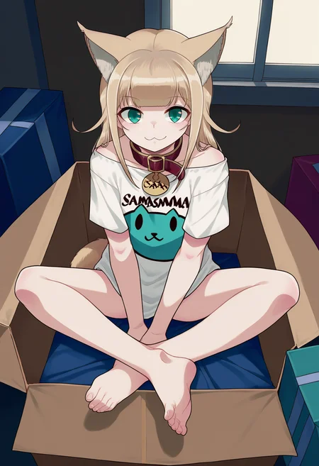 score_9, best quality, masterpiece, uncensored, source_anime
BREAK
1girl, solo, cat girl, cat tail, cat ears, solo, text on shirt, collar, sitting, blonde hair, topwear, looking at viewer, shirt, teal eyes, barefoot, inside the box, cardboard box, inner ear fluff, clothed, green eyes, sitting inside the box, cat face, smug, feet, foreshortening
<lora:40hara_pony_v2:1>