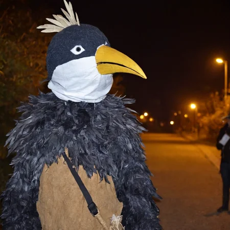 <lora:SDXL_Mask_Sa_May:1> mask, a person dressed in a costume a bird, night