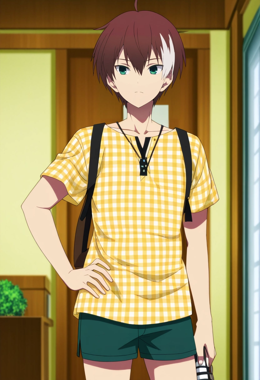 masterpiece, best quality, anime screencap, official style, anime coloring, cowboy shot, 1boy, solo, male focus, <lora:akatsuki_iride_ilxl:1>, akatsuki_iride, brown hair, green eyes, short hair, ahoge, multicolored hair, two-tone hair, white hair, , , Nylon Periwinkle Ikat Dress shorts, PlumPurple Gingham shirt, Sandals, ,