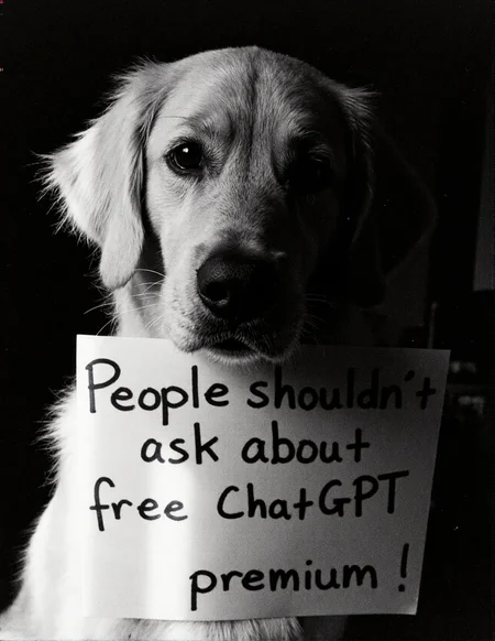 8n8log, golden retriever holding a sign in its mouth that says "People shouldn't ask about free ChatGPT premium". film photography aesthetic, film grain effect prominent throughout image, high contrast lighting creating dramatic shadows, grainy film-like texture, dramatic chiaroscuro lighting effect, amateurish quality, candid style