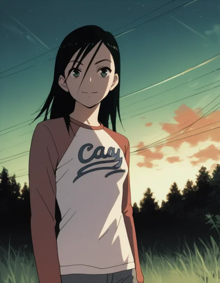 score_9,  score_8_up, score_7_up, source_anime, <lora:izumi-maho-koyuki-ponyxl:1> minamimaho, raglan sleeves,
1girl, solo, cowboy shot, grass, looking at viewer, smile, night, outdoors, sky, standing