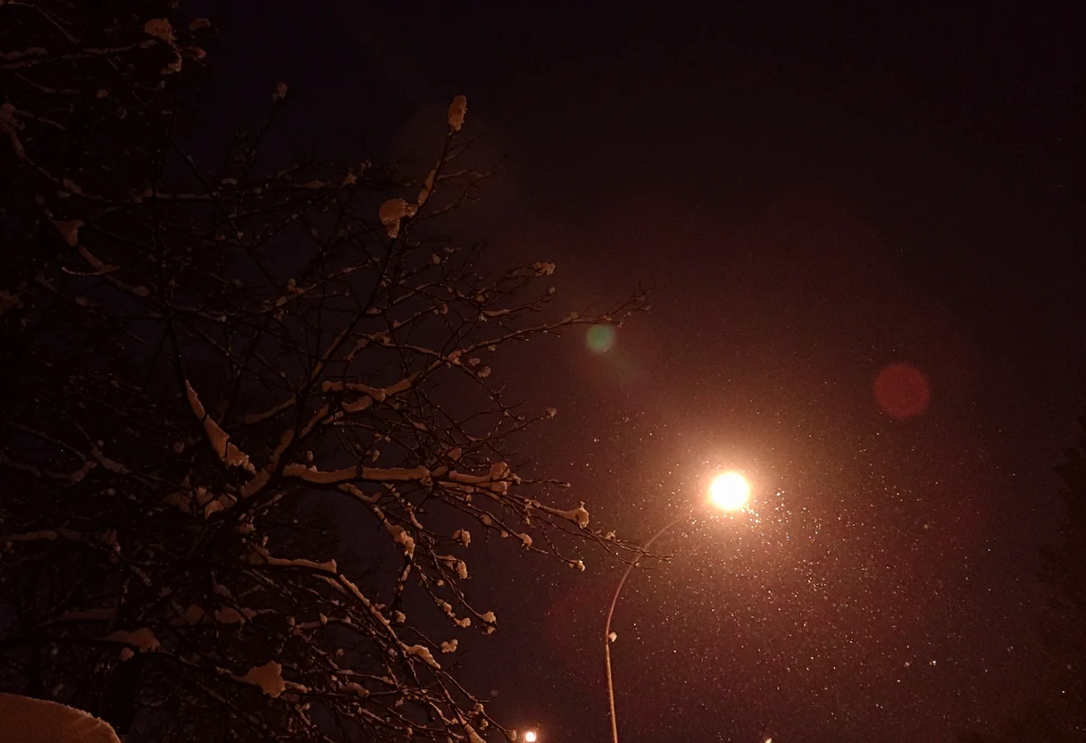 dimly lit winter scene, featuring snow-covered tree branches illuminated by a bright streetlamp. The snow clings to the delicate branches, creating a stark contrast between the dark tree silhouettes and the soft, glowing light. The sky is a deep, dusky hue, possibly indicating the early evening or late night, with snowflakes faintly visible in the background. The warm, orange glow of the streetlamp bathes the scene in a subtle warmth, while the snow adds an ethereal, quiet atmosphere. The overall quality of the image appears amateur, with some areas slightly blurred, possibly due to motion or low-light conditions