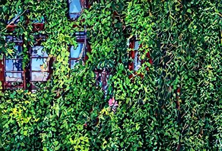 a open Sinoink window with beautiful tree outside,