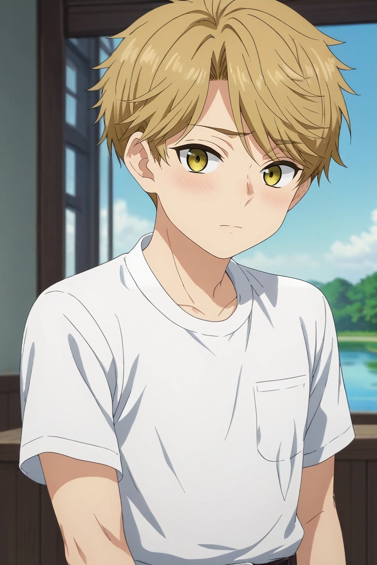score_9, score_8_up, score_7_up, , rating_safe, , anime screencap, anime coloring, , looking at viewer, depth of field, 1boy, solo, male focus, <lora:yuuma_nikaidou_pony:0.82>, yuuma_nikaidou, blonde hair, yellow eyes, short hair, upper body, lake, indoors, light, spread arms, shy, blush, , <lora:sdxl_lightning_8step_lora:1>