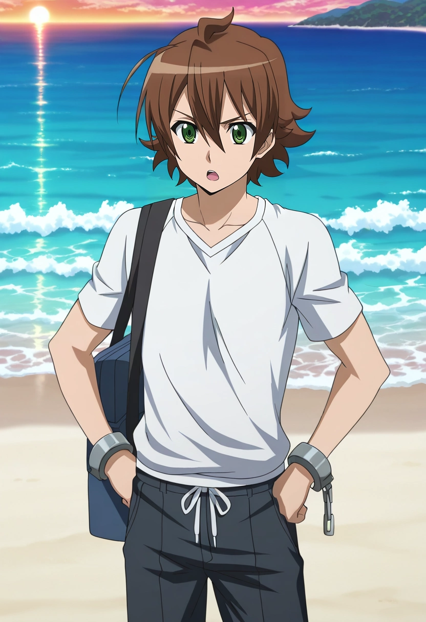 masterpiece, best quality, anime screencap, official style, anime coloring, cowboy shot, 1boy, solo, male focus, <lora:tatsumi_akame_ga_kill_ilxl:0.9>, tatsumi_akame_ga_kill, brown hair, green eyes, short hair, hair between eyes, ahoge, panorama, beach, ocean, waves, island, dusk, hands on hips, open mouth, Cuffed pants, Performance T-shirt, , Top hat, Travel Bag