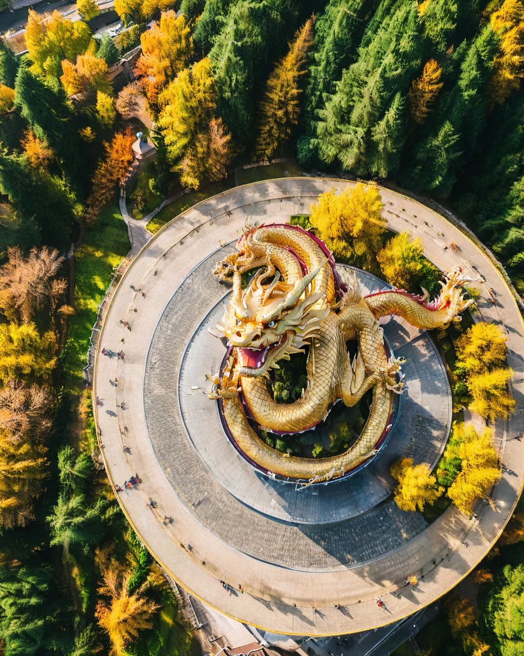 vertical perspective aerial photography,highres,close up golden dragon hovered over the top of the tower looking up,with trees beside it.,