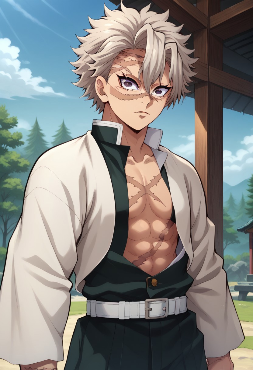 score_9, score_8_up, score_7_up, source_anime, highly detailed, 
sanemi, 1boy, demon slayer uniform, male focus, scar, solo, scar on face, scar on chest, scar on forehead, pants, belt, japanese clothes, black pants, looking at viewer, scar on arm, long sleeves, grey hair, haori, standing, open clothes, wide sleeves, upper body
outdoor, sky, tree, shadows,