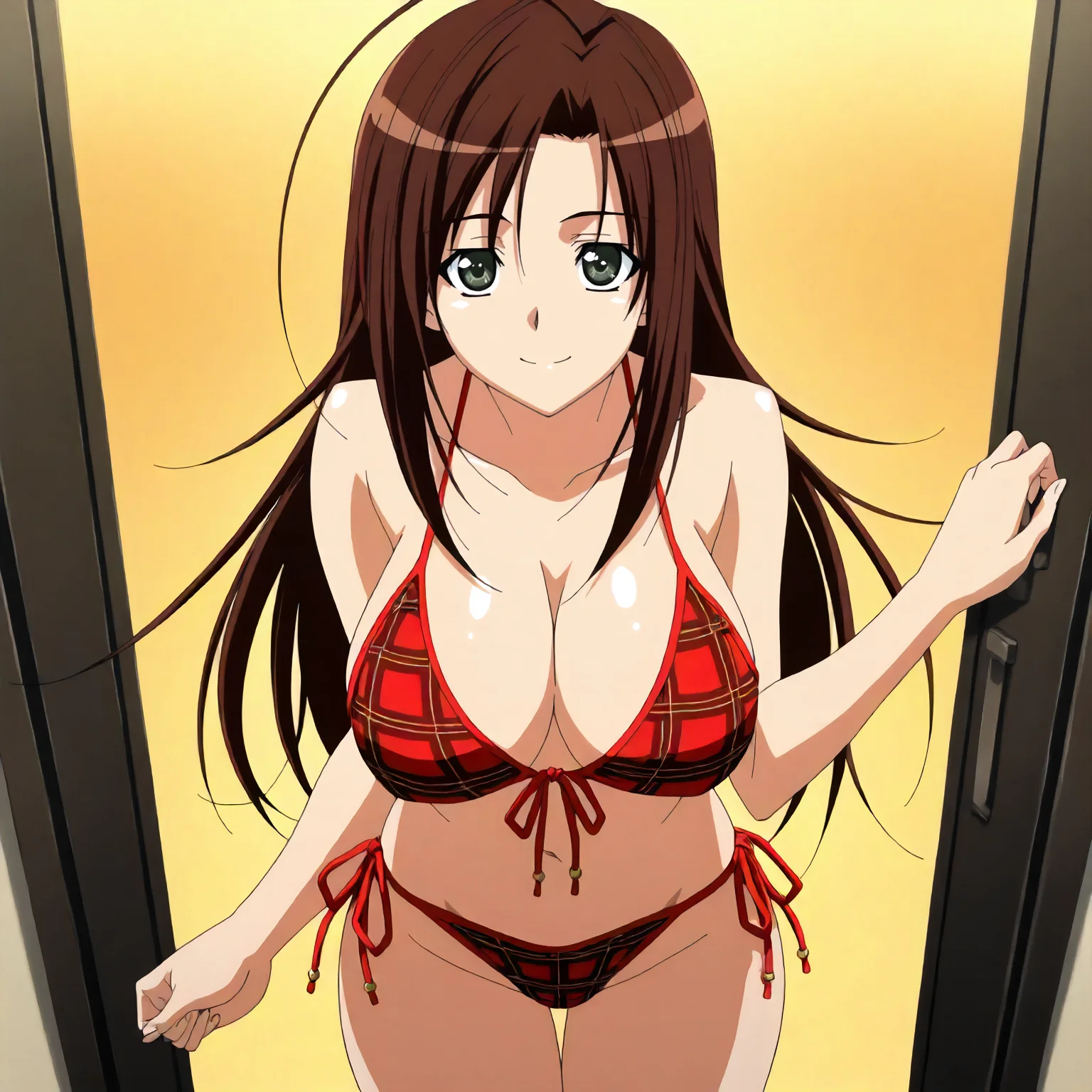 <lora:YnS_ifukube_yahiroXLIllustrious001>,
masterpiece,best quality,good quality,newest,
detailed background,glitter,
smile,
looking at viewer,
solo,
anime coloring,2000s \(style\),
ifukube_yahiro\(yosuganosora\),1girl,brown hair,long hair,green black eyes,
large breasts,
plaid_bikini,red bikini,front-tie top,side-tie bikini bottom,
standing,