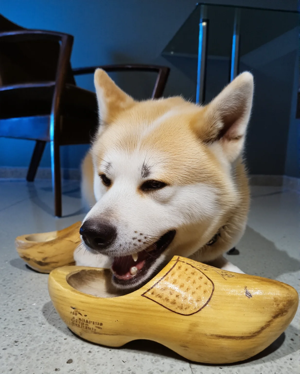 Content