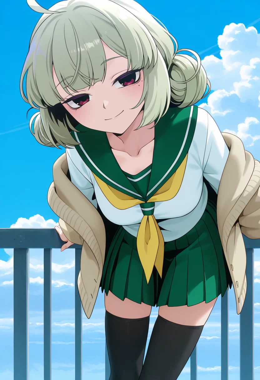 <lora:Araga Kiwi_illustrious-000036:1>,
Araga Kiwi,skirt,school uniform,ahoge,green skirt,yellow neckerchief,double bun,looking at viewer,sky,serafuku,mole,sailor collar,neckerchief,green sailor collar,cardigan,outdoors,day,mole under eye,shirt,pleated skirt,blue sky,closed mouth,smile,cloud,white shirt,brown cardigan,solo,open cardigan,long sleeves,leaning forward,off shoulder,railing,collarbone,black thighhighs