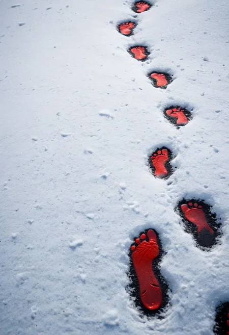 Close-up on snowscape, blood red footprints, stark contrast, fading trail, black negative space, textured snow, minimalist, symbolic, unsettling, high detail