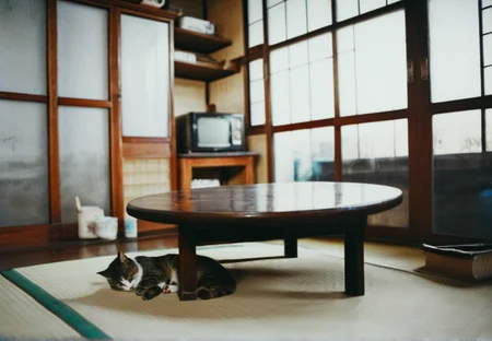 raw photo,(old photograph:1.1),indoors,perspective,film grain,
A room in a Japanese Showa-era apartment, a round low table, a cat sleeping on a tatami mat,shelf,sunset,shadow
,blurry background,japan oldstyle house,showa,<lora:Showa_Atmosphere:0.7>