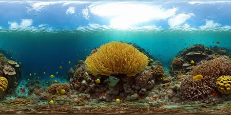 360panorama,<lora:HMSG360æµ·åºä¸çXL-000005:1>,<lora:å
å½±XL:1>,Underwater world,Swimming fish,Coral reef exploration,Deep sea,Sunlight filtering through water,No specific artist,Photo-realistic,Fantasy,Digital painting,Nature scene,Vibrant marine colors,High-definition rendering,4K,High detail,