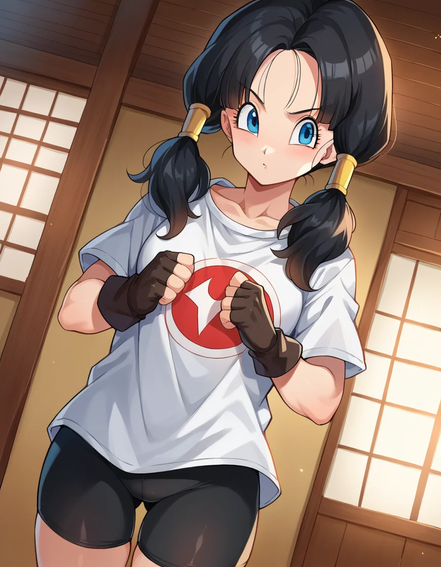 score_9, score_8_up, score_7_up, source_anime,
videl, <lora:dragonball-videl-ponyxl-lora-nochekaiser:1>,
videl, black hair, blue eyes, eyelashes, parted bangs, twintails,
bike shorts, black gloves, black legwear, collarbone, fingerless gloves, gloves, shirt, short sleeves, white shirt,
indoors, dojo,
looking at viewer, cowboy shot, dutch angle,