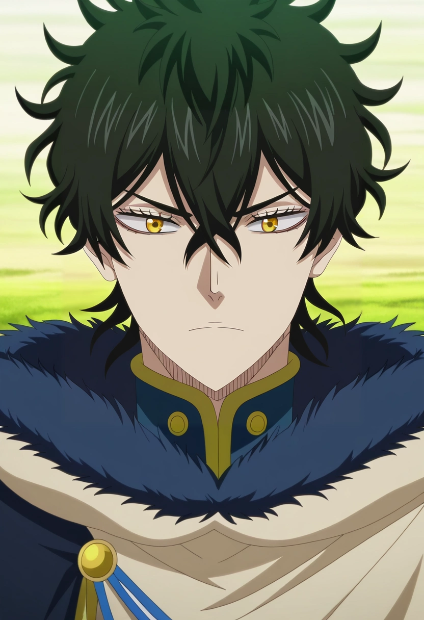 masterpiece, best quality, , anime screencap, anime coloring, official style, , 1boy, solo, male focus, <lora:yuno_black_clover_ilxl:0.94>, yuno_black_clover, black hair, yellow eyes, short hair, hair between eyes, fur trim, ,